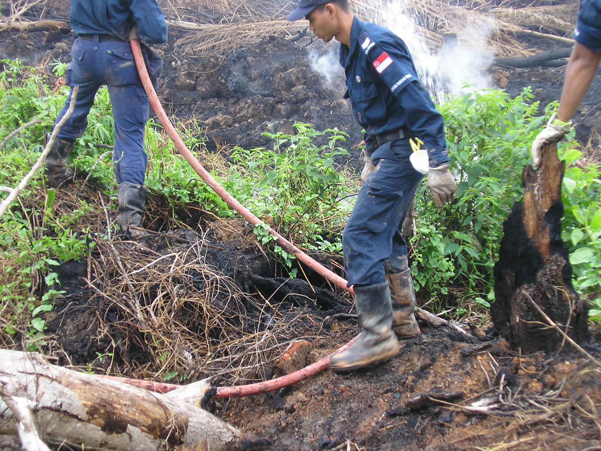 OLH 2005 Bush Fires @ Rokan Hilir, Sumatra, Indonesia 125
