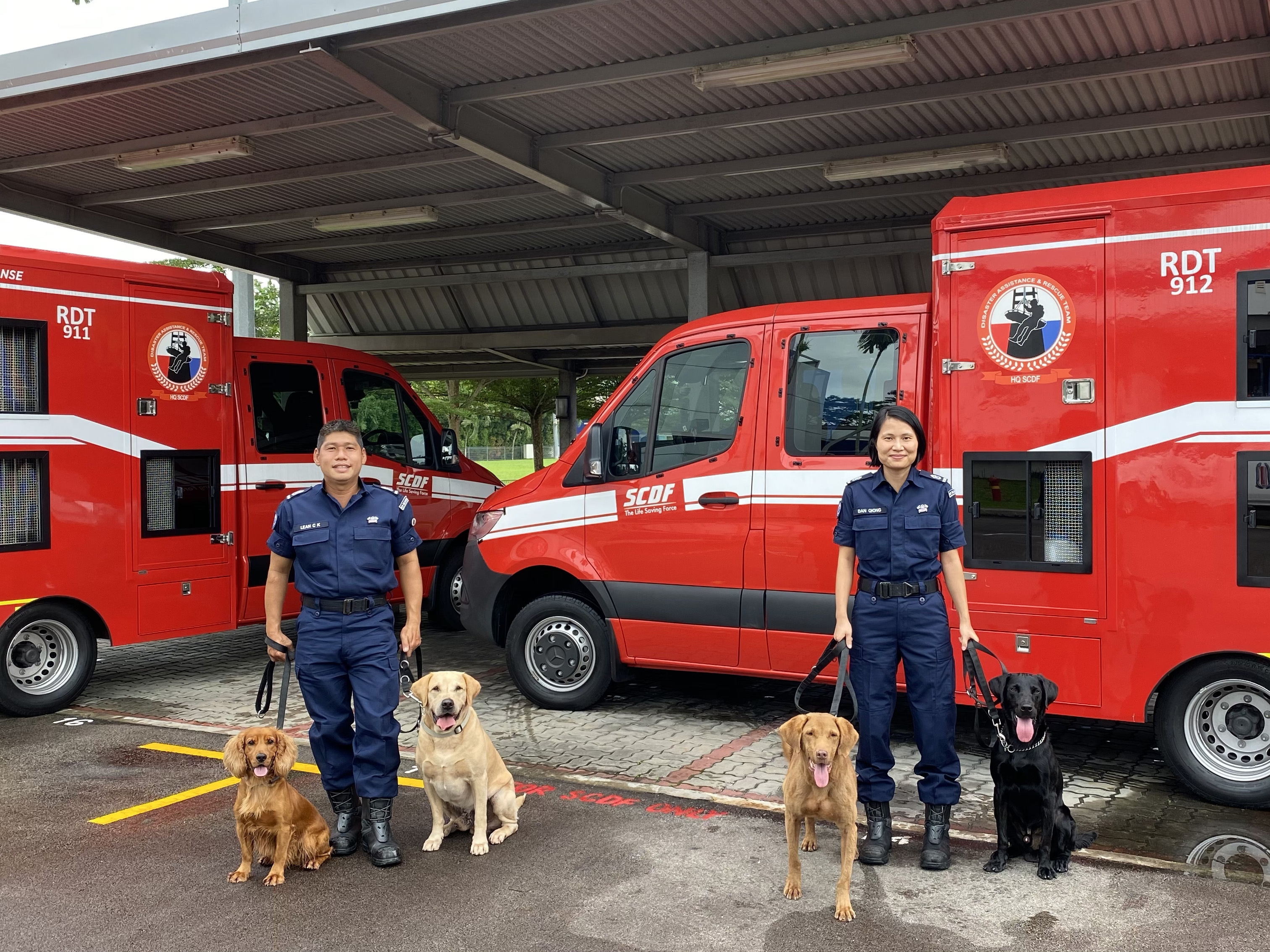 Warrant Officers, WO2 Lean Chee Keat (left) and WO1 Dan Qiong (right), posing for the camera with the Urban Search and Rescue (USAR) Dogs and Fire Investigation (FI) dogs.