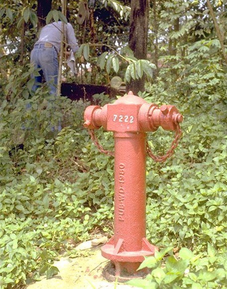 ULU SEMBAWANG VILLAGE - WELL AND FIRE HYDRANT (NAS)